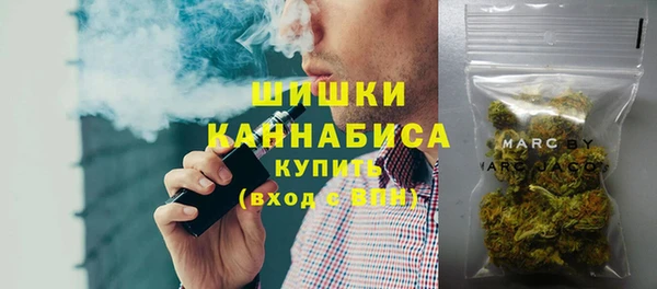 ПСИЛОЦИБИНОВЫЕ ГРИБЫ Заволжье