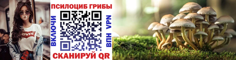 Псилоцибиновые грибы Cubensis  Купить  Чудово 